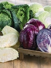 Promo Chou à 1,99 € dans le catalogue Netto à Annequin