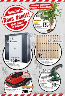 Rasenmäher im aktuellen Hornbach Prospekt (Karlsruhe) Rasenmäher im Hornbach Prospekt "Dir ist vieles Latte. Nur nicht Dein Garten." mit 32 Seiten (Karlsruhe)