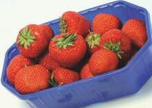 K+K - Klaas & Kock Gelsenkirchen - Erdbeeren Erdbeeren Angebot bei K+K - Klaas & Kock Gelsenkirchen im Prospekt "Spitze!"