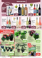Aktueller aktiv & irma Prospekt mit Rotwein, "Top Angebote", Seite 2