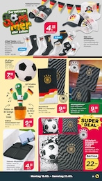Kaktus Angebot & Preis im aktuellen Netto mit dem Scottie Prospekt Kaktus Angebot im aktuellen Netto mit dem Scottie Prospekt auf Seite 25