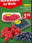 Kulturheidelbeeren bei EDEKA im Bünde Prospekt für 3,99 €