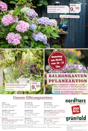 Aktueller Garten-Center Nordharz GmbH & Co. KG Prospekt mit Hortensie, "Wo Farben wachsen und Freude blüht!", Seite 16