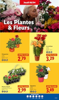 Catalogue Lidl, 09/04/2026 - 15/04/2026, XXL, 75 pages Prospectus Lidl en cours, "XXL", 75 pages