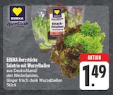 Salatrio mit Wurzelballen bei EDEKA im Windischleuba Prospekt für 1,49 €