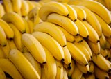 Bananes à Norma dans Zoufftgen Bananes à Norma dans Zoufftgen