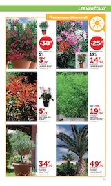 Fleurs Angebote im Prospekt "Super U" von Super U Fleurs Angebote im Prospekt "Super U" von Super U auf Seite 15