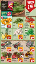 Ähnliche Gurkenpflanze Angebote im Prospekt "Dein Markt" von REWE in Pforzheim Ähnliche Angebote wie Gurkenpflanze im Prospekt "Dein Markt" auf Seite 9 von REWE in Pforzheim