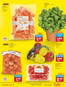 Paprika im aktuellen Netto Marken-Discount Prospekt (Moers) Paprika im Netto Marken-Discount Prospekt "Aktuelle Angebote" mit 62 Seiten (Moers)