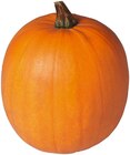 Halloween Kürbis Angebote von REWE Regional bei REWE Marl für 4,44 €