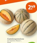 Cantaloupemelone bei tegut im Stuttgart Prospekt für 2,49 €