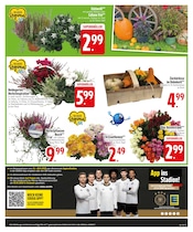 Ähnliche Gartenliege Angebote im Prospekt "Jetzt noch mehr Angebote" von EDEKA in Dachau Ähnliche Angebote wie Gartenliege im Prospekt "Jetzt noch mehr Angebote" auf Seite 9 von EDEKA in Dachau