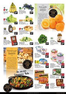 Bananen im EDEKA Prospekt "Aktuelle Angebote" mit 6 Seiten (Bottrop)