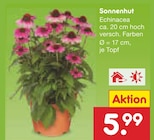 Sonnenhut im Angebot bei Netto Marken-Discount in Coburg Sonnenhut Angebote bei Netto Marken-Discount Coburg für 5,99 €