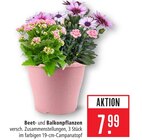 Beet- und Balkonpflanzen Angebote bei Marktkauf Göppingen für 7,99 €