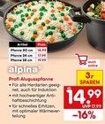 Aktuelle Alpina Angebote bei Netto Marken-Discount in Krefeld Aktuelles Profi Alugusspfanne Angebot bei Netto Marken-Discount in Krefeld ab 14,99 €