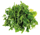 Wildkräuter Salat Angebote bei REWE Bergheim für 1,19 €