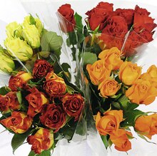 Bouquet de 9 Roses ou de 12 tulipes - Casino Supermarchés à Nice Bouquet de 9 Roses ou de 12 tulipes en promo chez Casino Supermarchés Nice à 4,99 €