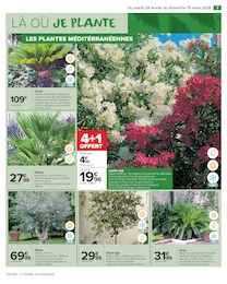 Offre Palmier dans le catalogue Carrefour Market du moment à la page 9