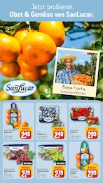 Pute Angebot im aktuellen REWE Prospekt auf Seite 14