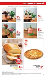Offre Plante D'intérieur dans le catalogue Super U du moment à la page 35