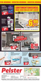 Aktueller Wilhelm Pelster GmbH & Co. KG Prospekt mit Farbe, "INVENTUR RÄUMUNG!", Seite 10