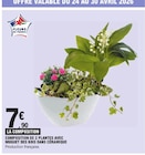 Composition de 2 plantes avec muguet des bois dans céramique dans le catalogue E.Leclerc