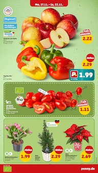 Paprika im Penny Prospekt "Wer günstig will, muss Penny." mit 48 Seiten (Jena)