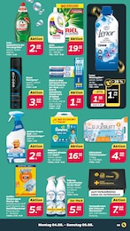 Netto mit dem Scottie Febreze im Prospekt Netto mit dem Scottie Febreze im Prospekt