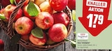 Rote Tafeläpfel bei REWE im Zehdenick Prospekt für 1,79 €