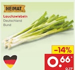 Netto Marken-Discount Freital - Lauchzwiebeln Angebot im Prospekt Lauchzwiebeln bei Netto Marken-Discount im Freital Prospekt für 0,66 €