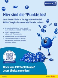Netto Marken-Discount Sichtschutz im Prospekt Netto Marken-Discount Sichtschutz im Prospekt