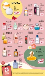 Rossmann Wild im Prospekt 