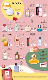 Wild im Rossmann Prospekt in Brandenburg Aktueller Rossmann Prospekt mit Wild, "Mein Drogeriemarkt", Seite 7