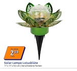 Solar Lampe Lotusblüte im Angebot bei Action in Norderstedt Solar Lampe Lotusblüte Angebote bei Action Norderstedt für 2,34 €