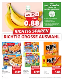 Aktueller Kaufland Prospekt "Aktuelle Angebote" für Tettnang Aktueller Kaufland Prospekt für Tettnang mit Seiten