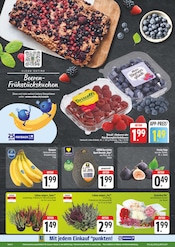 Ähnliche Angebote wie Kakteen im Prospekt "Wir lieben Lebensmittel!" auf Seite 3 von EDEKA in Leipzig