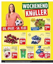 EDEKA Rose im Prospekt EDEKA Rose im Prospekt