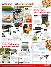 Zerkleinerer Angebot im aktuellen Hellweg Prospekt auf Seite 17