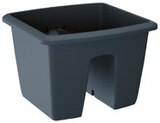 Aktuelle Blumentopf Angebote bei Penny in Essen Aktuelles Blumentopf RAILING Angebot bei Penny in Essen ab 3,00 €
