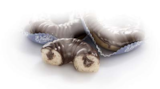 Aktuelle Schokolade Angebote bei Netto Marken-Discount in Lübeck Aktuelles Donut Angebot bei Netto Marken-Discount in Lübeck ab 0,99 €