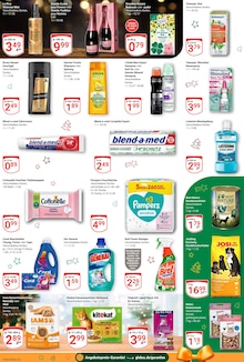 Katzenfutter im GLOBUS Prospekt "Aktuelle Angebote" mit 29 Seiten (Erlangen)