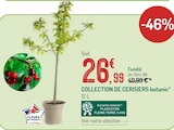 Promo Collection de cerisiers à 26,99 € dans le catalogue Botanic à Grand Menil