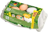 Aktuelles Bio Eier Angebot bei Penny in Wiesbaden ab 2,99 €