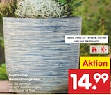 bepflanztes Herbstarrangement im Angebot bei Netto Marken-Discount in Velbert bepflanztes Herbstarrangement Angebote bei Netto Marken-Discount Velbert für 14,99 €