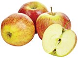 Äpfel im Angebot bei METRO in Löhne Äpfel Angebote von Metro Chef bei METRO Löhne für 18,18 €