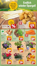 Dekoration im REWE Prospekt in Frankfurt Aktueller REWE Prospekt mit Dekoration, "Dein Markt", Seite 5