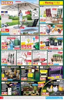 Blumentopf im Norma Prospekt "Mehr fürs Geld" mit 19 Seiten (Dresden)