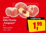 Wilde Pfirsiche "Paraguayos" im Angebot bei Markant in Neumünster Wilde Pfirsiche "Paraguayos" Angebote bei Markant Neumünster für 1,99 €