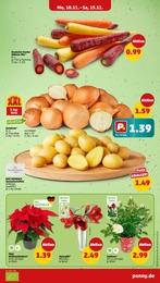 Pflanzen Angebot & Preis im aktuellen Penny Prospekt Pflanzen Angebot im aktuellen Penny Prospekt auf Seite 3